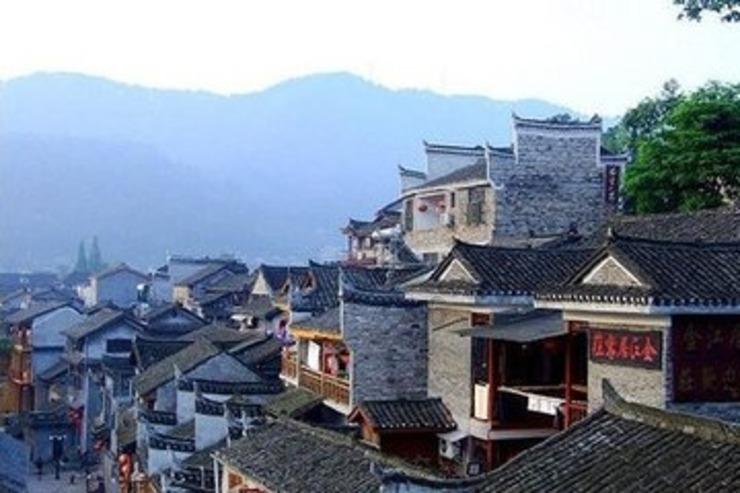 僵尸顶顶乐